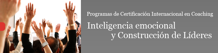 Imagen 06